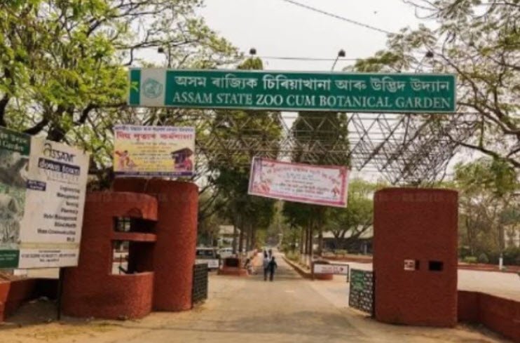 Assam State Zoo Cum Botanical Garden, , India